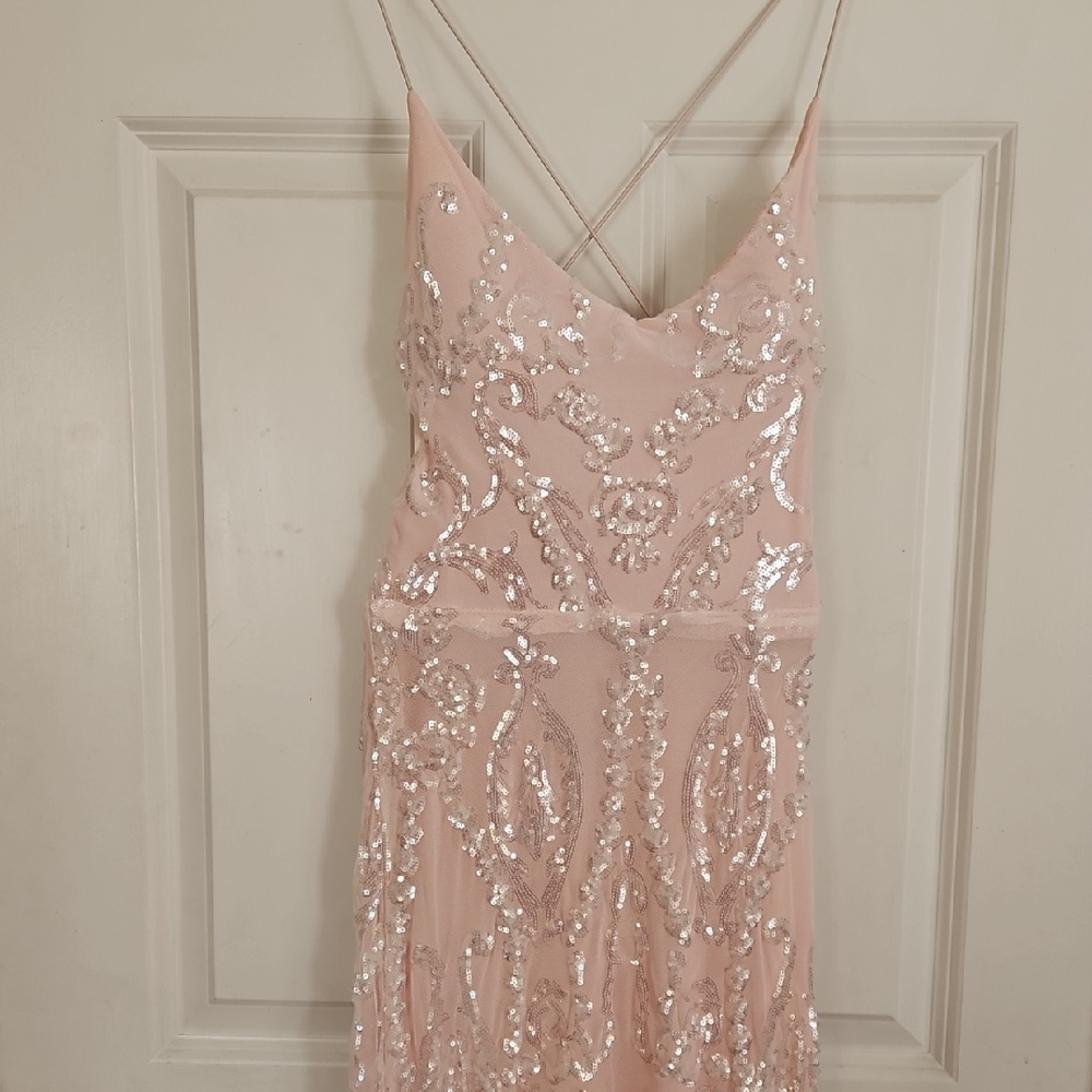 Windsor Blush Sequin Backless Dress
